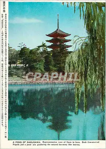 Cartes postales moderne A Pond of Sarusawa Representative View of Nara in Here