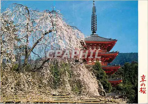 Cartes postales moderne Temple Kyoto