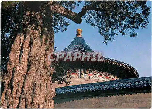 Cartes postales moderne A Corner of Tiantan Park Temple of Heaven