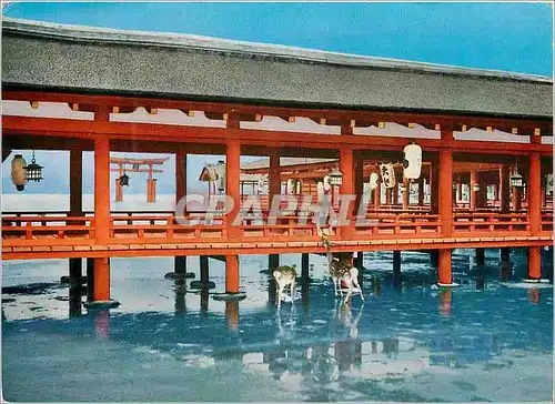 Cartes postales moderne View of Larger Torii Seeing From Itsukushima Shrine