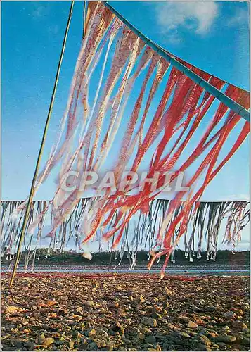 Cartes postales moderne The Best Dyeing of Kimono