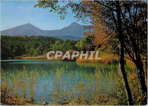 Cartes postales moderne Beauty of Ruri Swamp