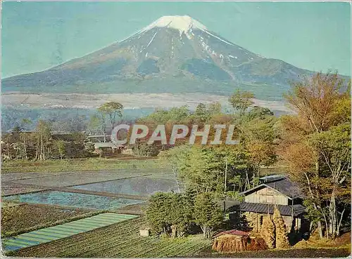 Cartes postales moderne Mt Fuji Mid Spring
