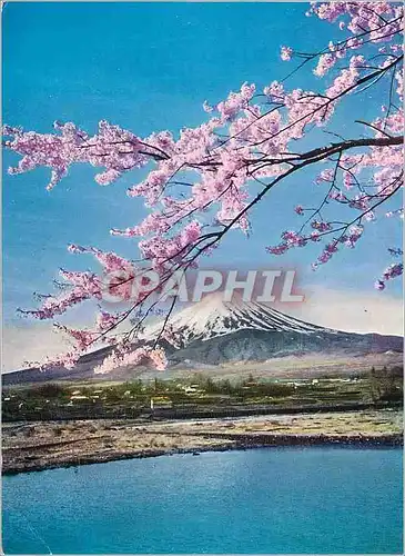 Moderne Karte MT Fuji and the Cherry Blossoms Fuji Hakone Izu National Park