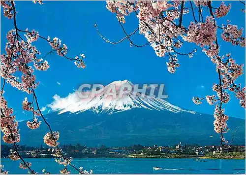 Cartes postales moderne Mt Fuji and Cherry Bucssoms The Symbols of Japan