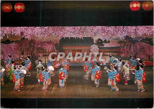 Cartes postales moderne Miyako Odoi ou la Danse des Cerises Kyoto