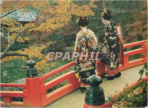 Cartes postales moderne Maiko in the Garden of Daigo Sanboin Temple Kyoto