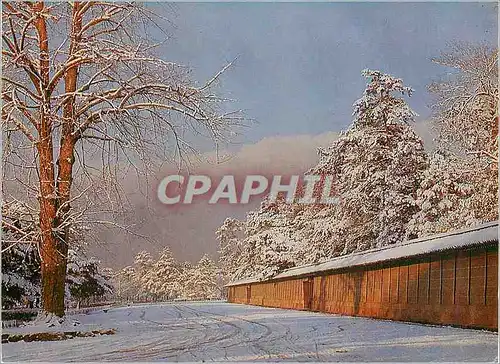 Cartes postales moderne Kyoto Palace