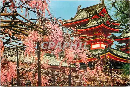 Cartes postales moderne The Heian Jingu Shrine Kyoto