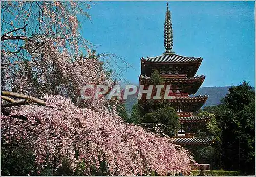 Cartes postales moderne Dagon Temple Kyoto