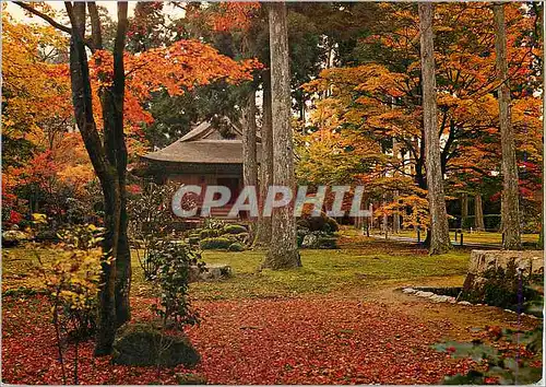 Moderne Karte Le Temple de Sanzenin (Kyoto)