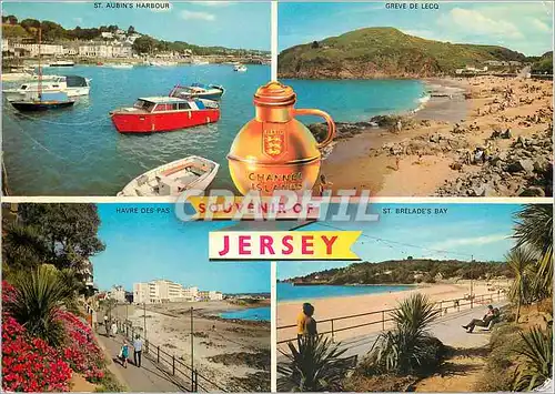 Cartes postales moderne Souvenir of Jersey