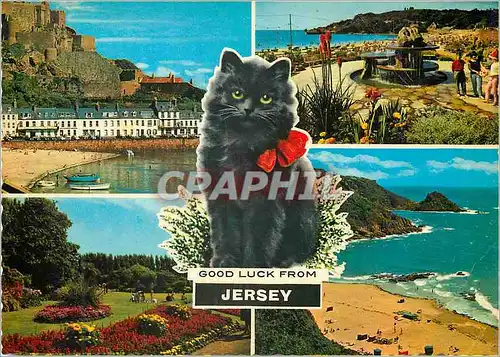 Cartes postales moderne Good Luck From Jersey Mont Orgueil Castle St Brelade's Bay Howard Davis Park Portlet Bay Chat