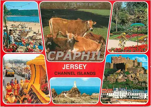 Cartes postales moderne Jersey Channel Islands St Brelade's Bay Howard Davis Park Jersey Cows Battle of Flowers Mont Org