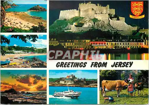 Cartes postales moderne Greetings From Jersey