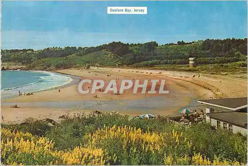 Cartes postales moderne Ouaisne Bay Jersey