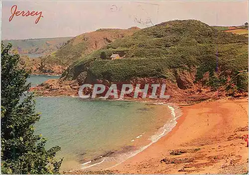 Cartes postales moderne Greetings from Greve de Leco Jersey