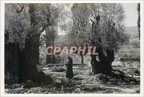 Moderne Karte Garden of Gethsemane