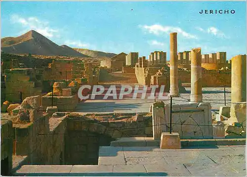 Cartes postales moderne Jericho Le Palais de Hisham pres de Jericho