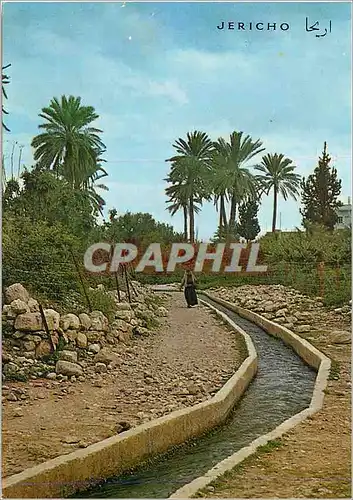 Cartes postales moderne Jericho Elisas Fountain