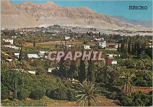 Cartes postales moderne Jericho Ville de Palmiers dans la vallee du Jourdain une des Villes les plus Vieilles du Monde