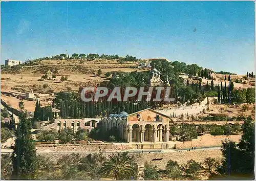 Cartes postales moderne General View of Gethsemane