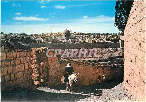 Cartes postales moderne General View of Jerusalem