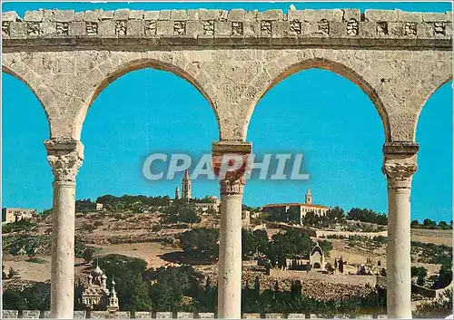 Cartes postales moderne Mt of Olives from the Temple Area