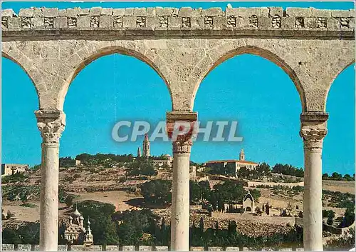 Moderne Karte Mt of Olives from the Temple Area