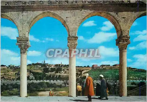 Cartes postales moderne View of Mt Olives from Al Aqsa Mosque Area