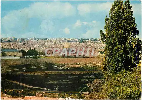 Moderne Karte Vue Generale de Jerusalem du Mont des Oliviers
