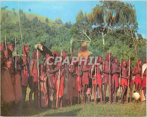 Cartes postales moderne Masai Warriors Kenya