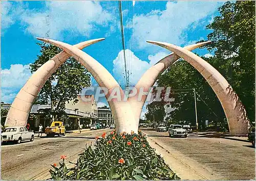 Moderne Karte Giant Tusks Mombasa Ivoire Elephant