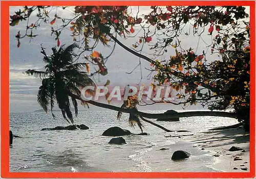 Cartes postales moderne Beach Scene Mombasa