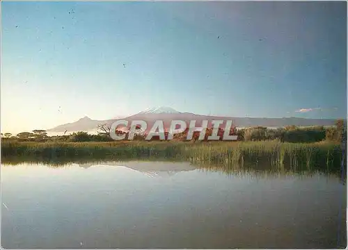 Cartes postales moderne Kilimanjaro Lambo Kenya