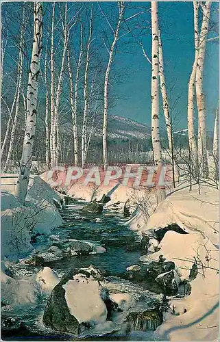 Cartes postales moderne The Beautiful Berkshire Hills of Massachusetts Provide the Ideal Setting for your year Round Cul