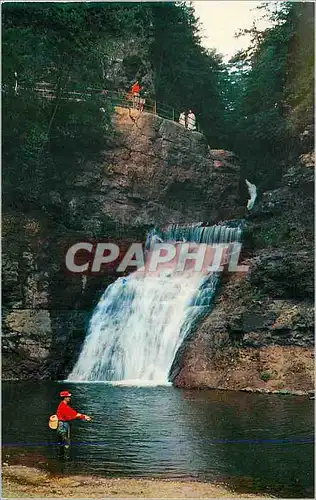 Cartes postales moderne Buck Hill Falls In the Pocono Mountains Pennsylvania