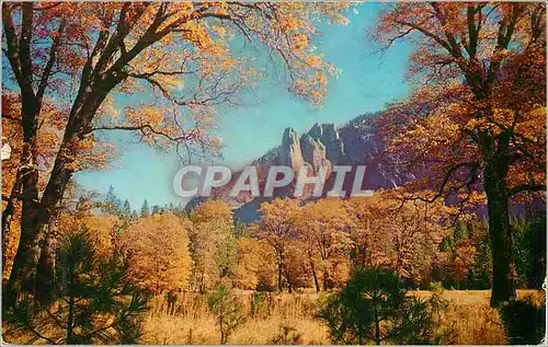 Cartes postales moderne Yosemite National Park California Autumn Glory in Yosemite Valley