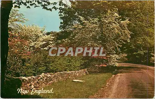 Moderne Karte New England This Rustic Stone Fence can be found on many of the By ways in New England