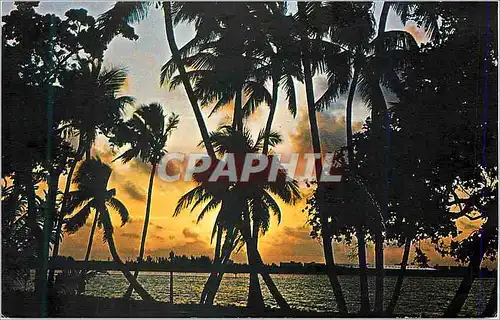 Moderne Karte Sunset in Tropical Florida