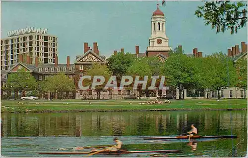 Cartes postales moderne Dunster House and Charles River Cambridge Massachusetts