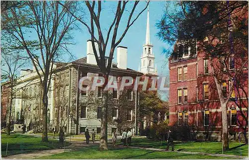 Cartes postales moderne Harvard Yard Harvard University Cambridge Mass