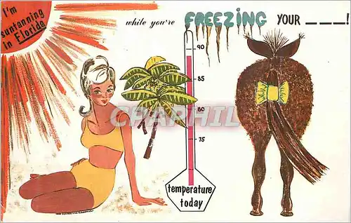 Cartes postales moderne While Your're Freezing I'm Suntaning in Florida