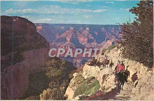 Moderne Karte Grand Canyon National Park Arizona Mule Train Returns