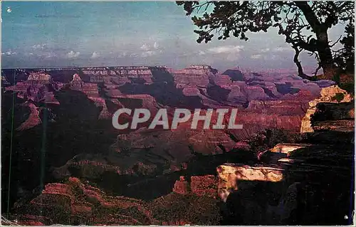 Cartes postales moderne Sunset at Grand Canyon