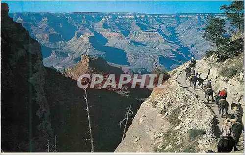 Moderne Karte Grand Canyon Arizona Bright Angel Trail