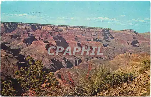 Cartes postales moderne Grand Canyon Arizona Hopi Point