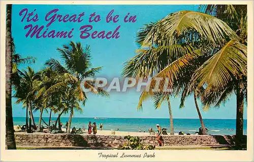 Cartes postales moderne The Golden Sands of Miami Beach Florida
