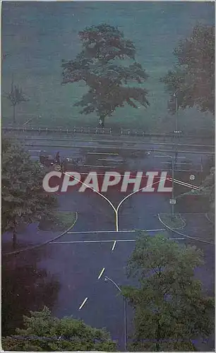 Cartes postales moderne My tree From the Book A world Though My Window