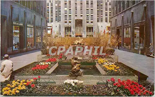 Moderne Karte The Channel Gardens Rockefeller Center With Flags of the United Nations in the Background New Yo